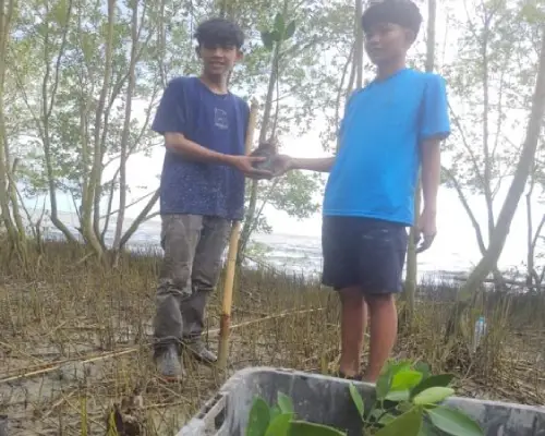 Environmental Sustainability