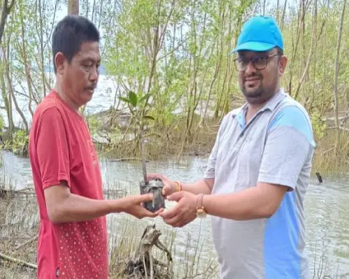 Mangrove and coconut tree plantation initiatives to protect biodiversity and support local economies